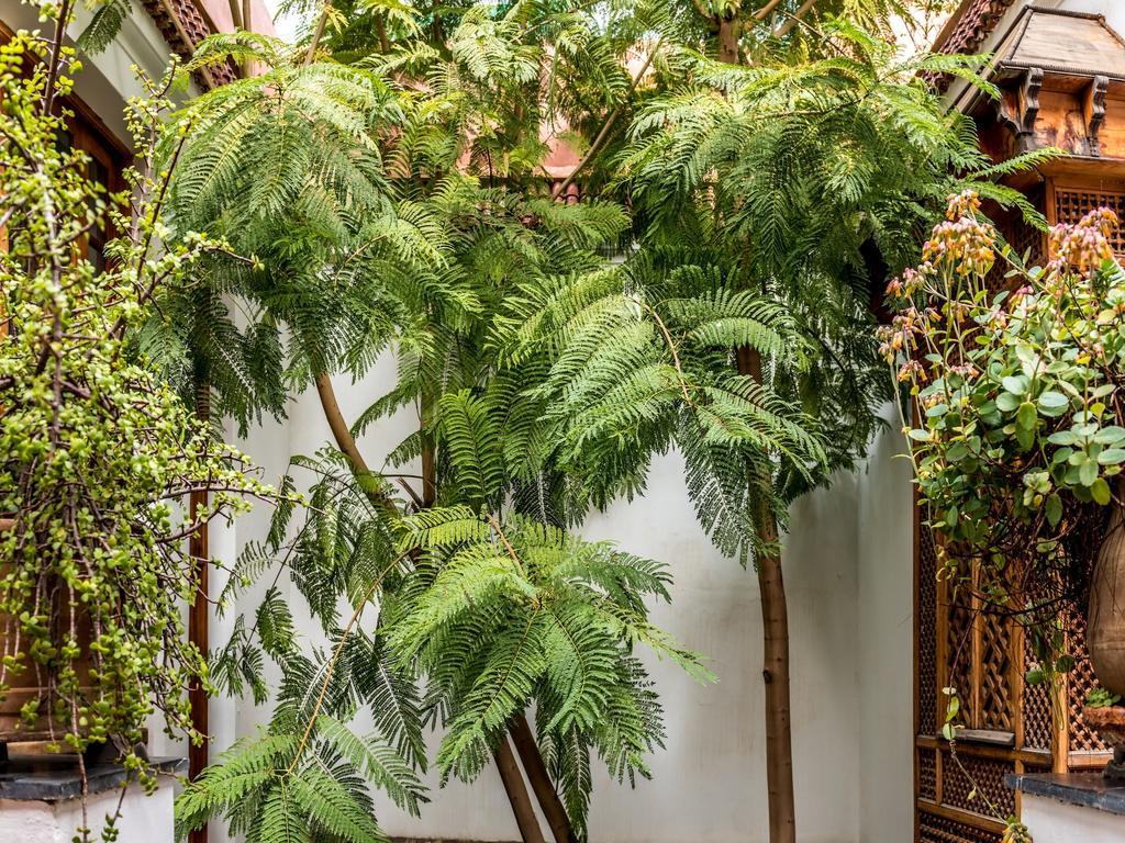 Riad Les Trois Cours Marrakesh Exterior foto